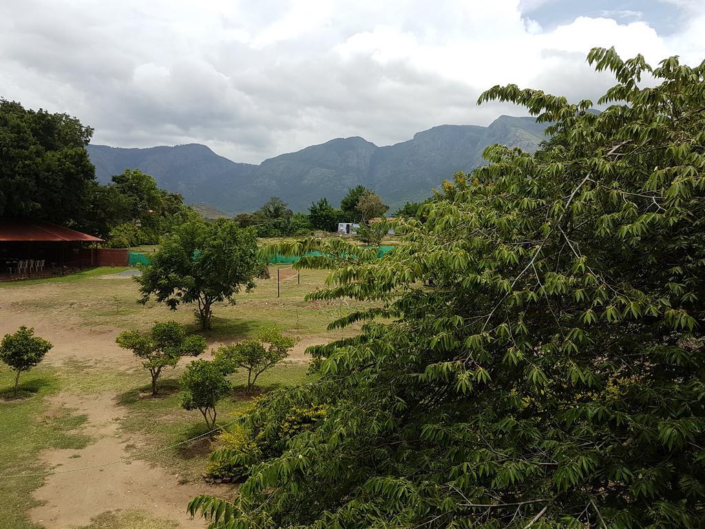 Tamarind Tree 호텔 우티 객실 사진